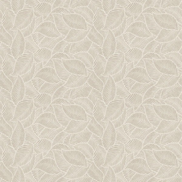 Natures Organics
Collection Image 2