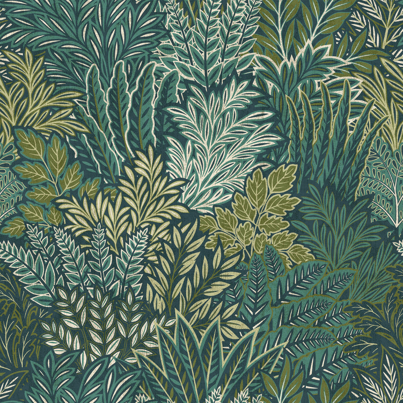 Subdued Tropics
Collection Image 5