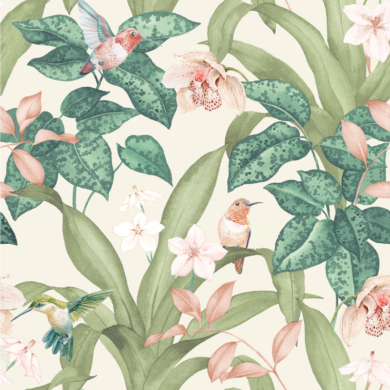 Subdued Tropics
Collection Image 4