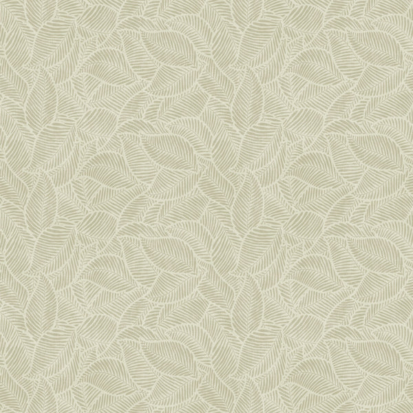 Natures Organics
Collection Image 3