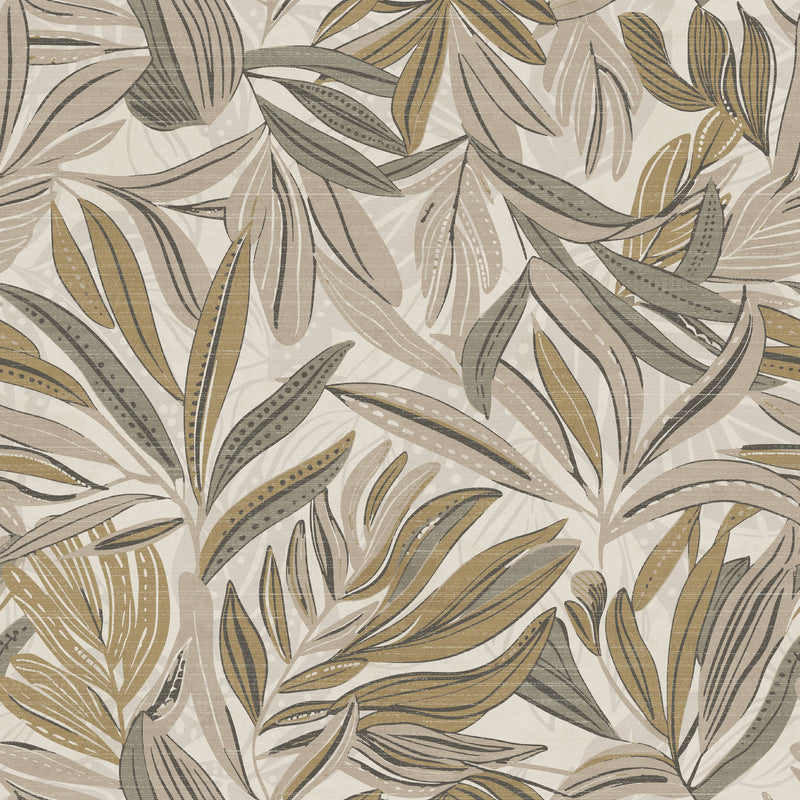 Natures Organics
Collection Image 4
