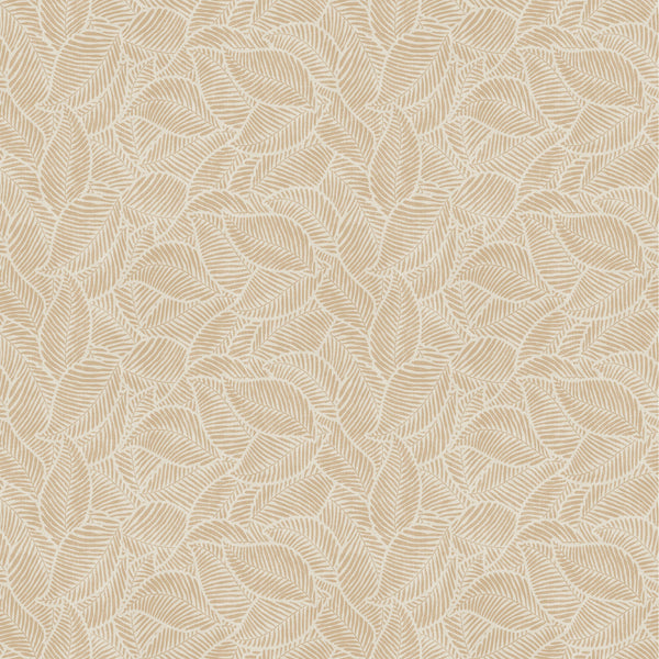 Natures Organics
Collection Image 1