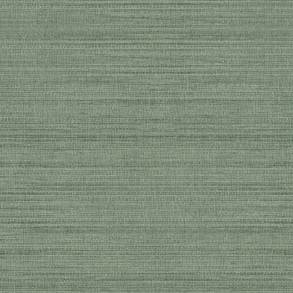 Subdued Tropics
Collection Image 2