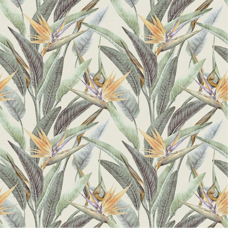 Subdued Tropics
Collection Image 6